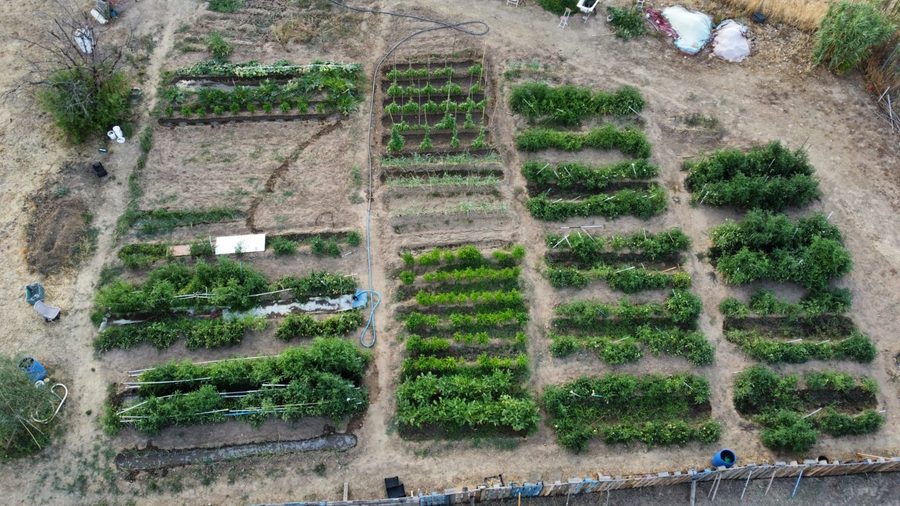 Nuestra huerta vista aérea